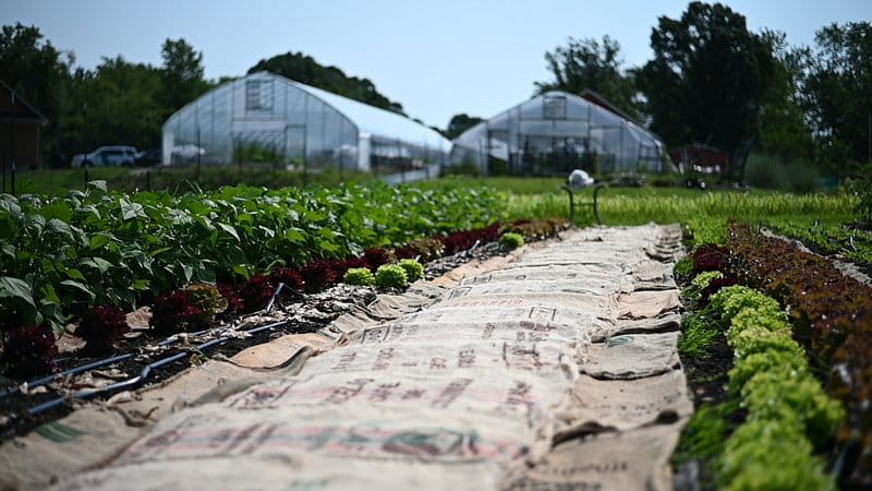 Specialty Crops