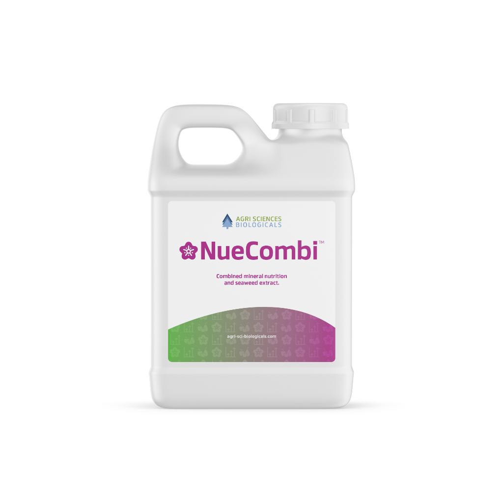 NUE COMBI