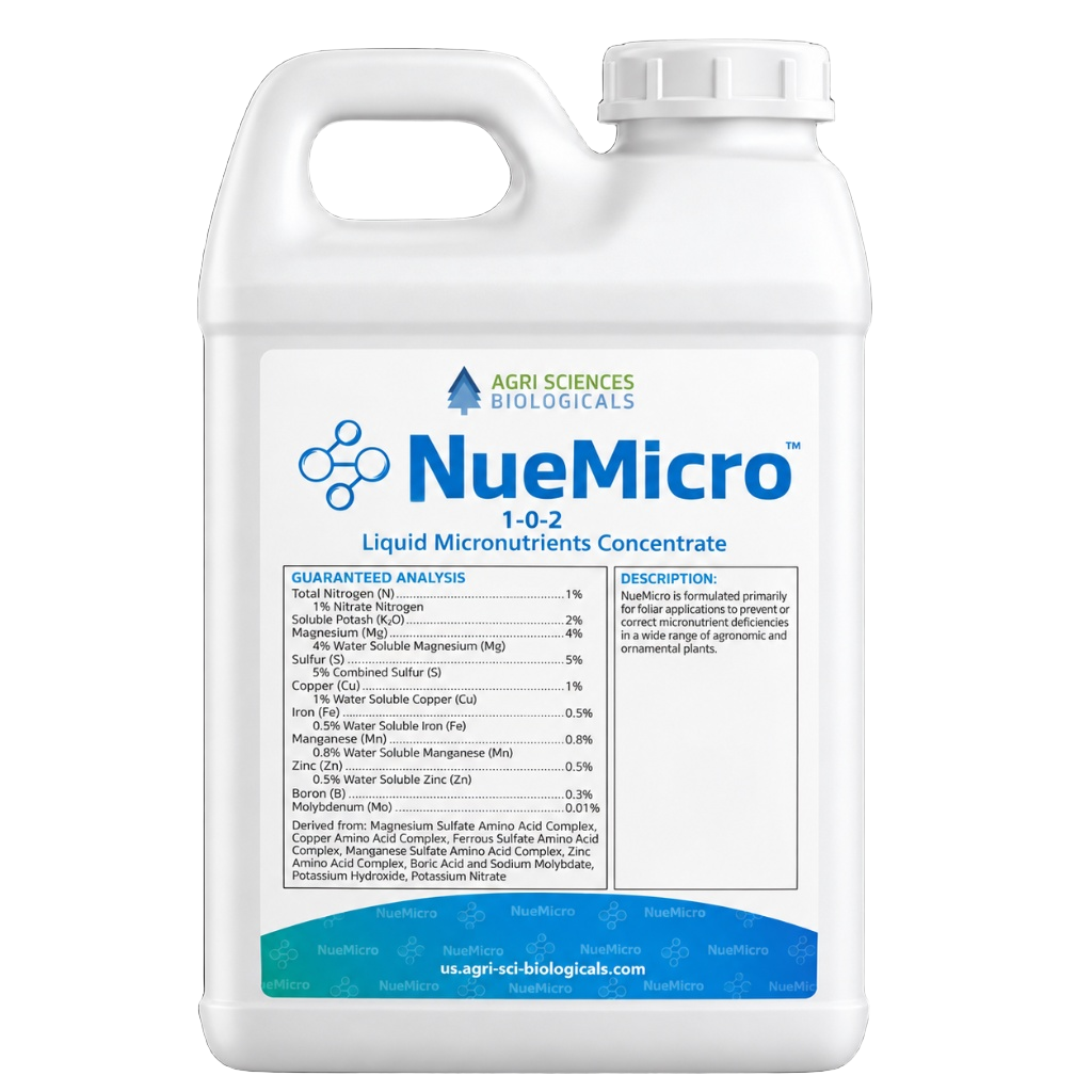 NUE MICRO