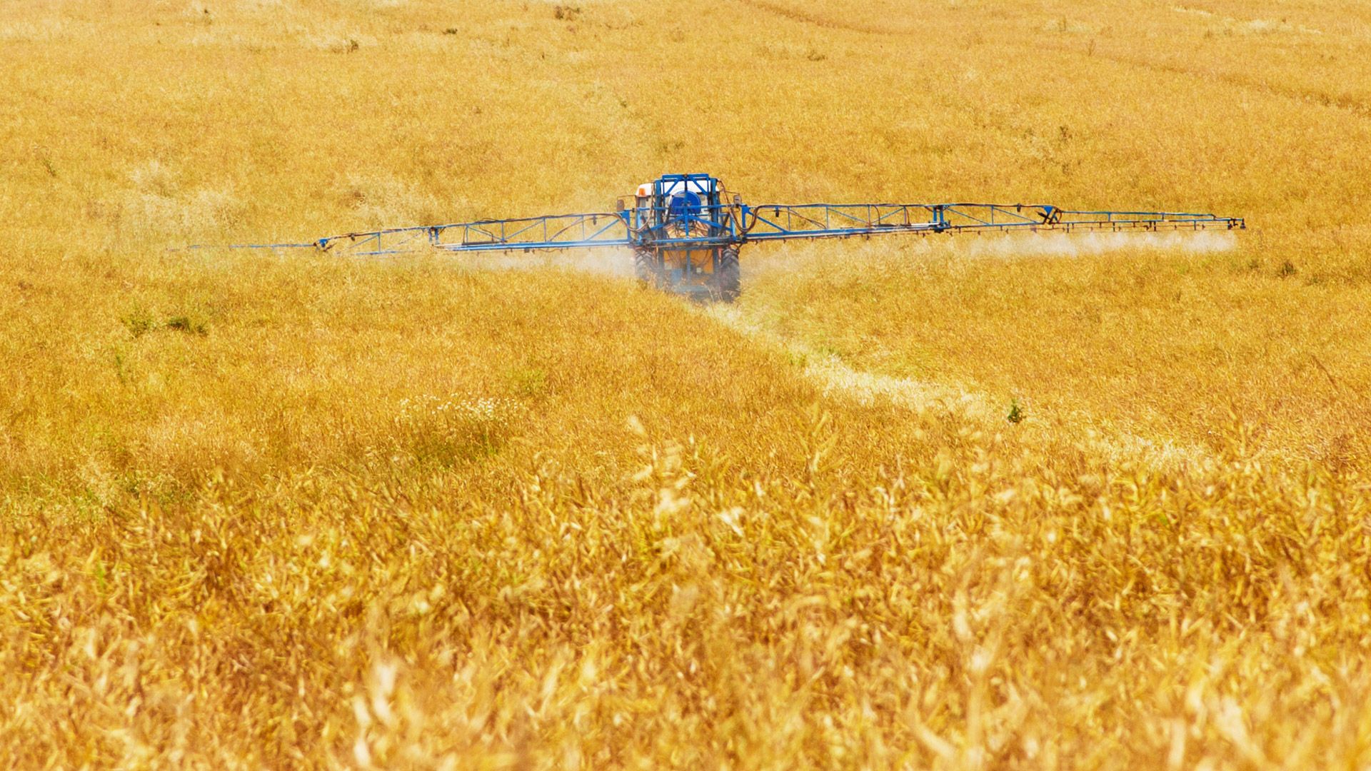 Tractor spraying field